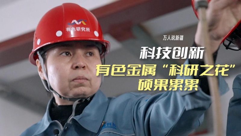 低代码平台：企业数字化转型的加速器