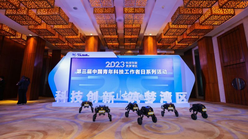 金融数据治理：揭秘高效案例背后的关键要素